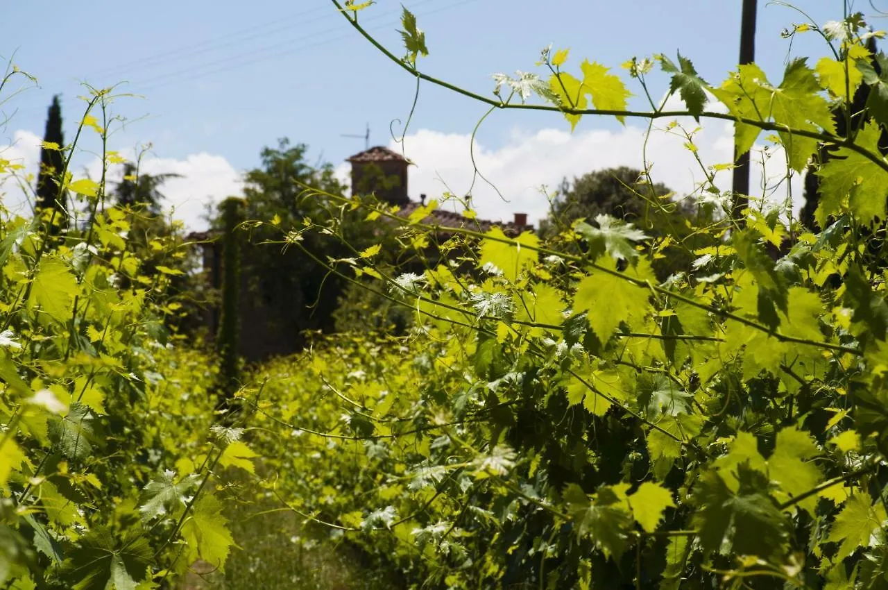 Azienda Agricola di Fietri San Vincenti