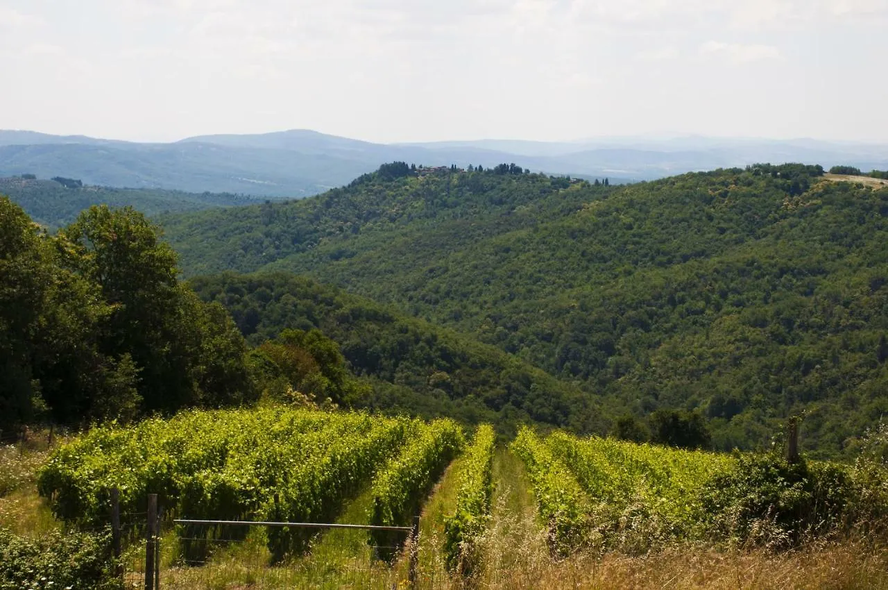 Azienda Agricola Di Fietri San Vincenti
