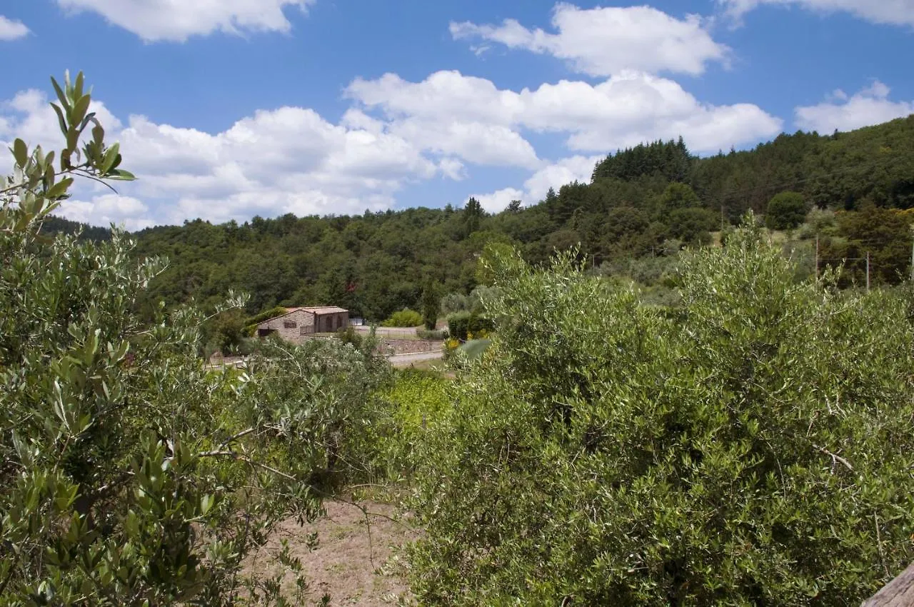 Azienda Agricola Di Fietri San Vincenti مزرعة للإقامة