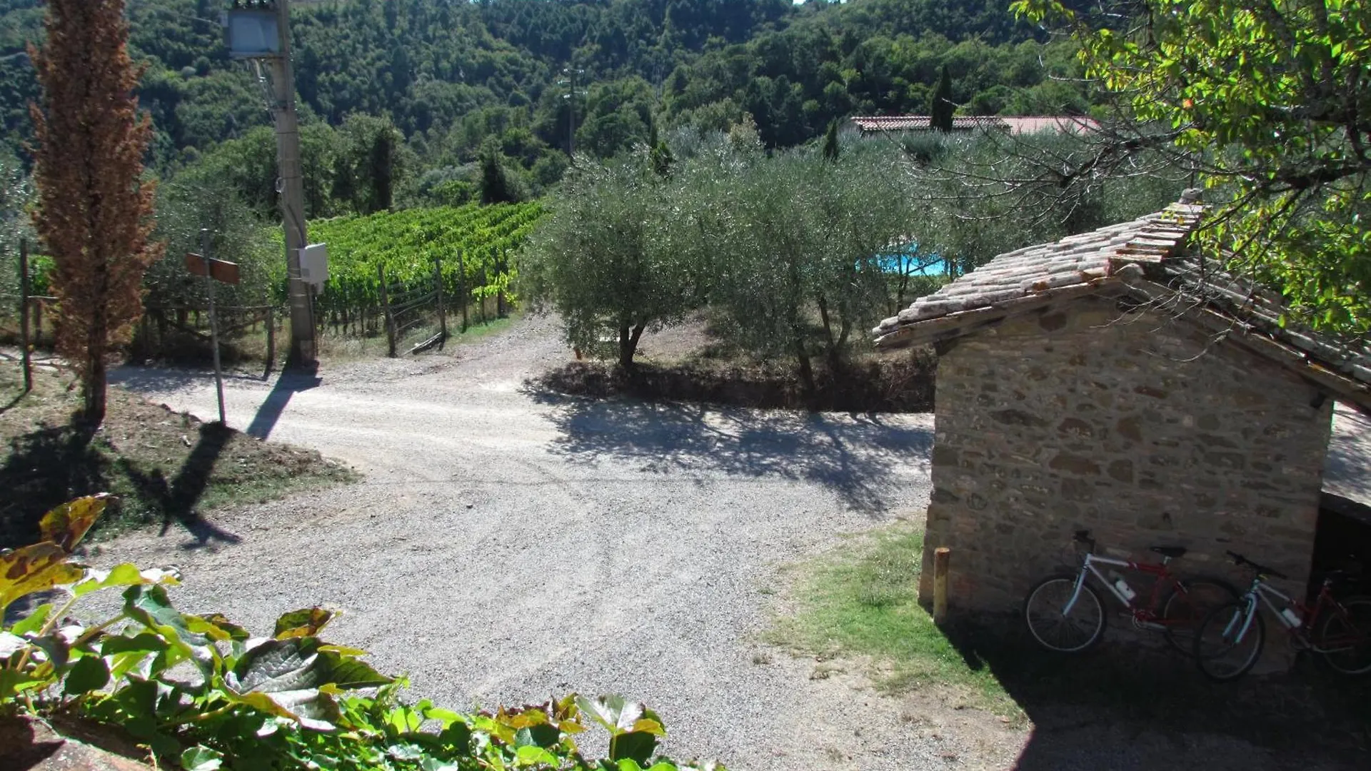 Azienda Agricola Di Fietri San Vincenti 0*,  Italië