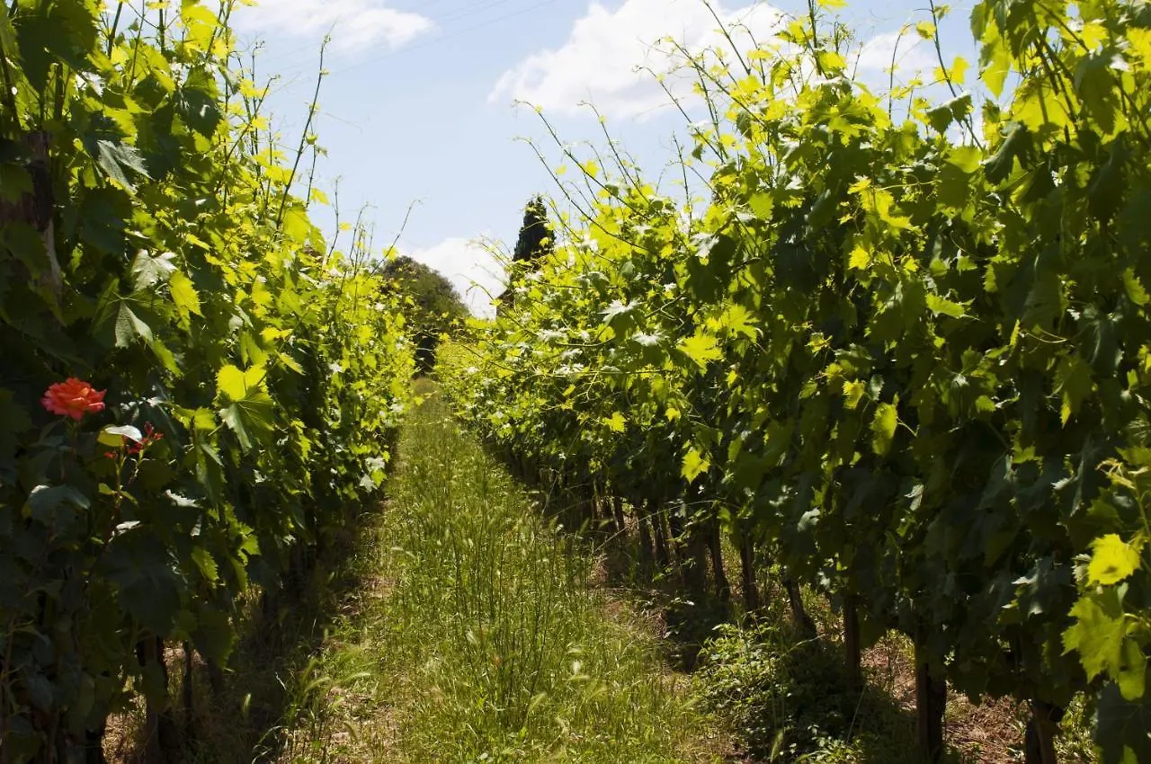 Vakantieboerderij Azienda Agricola Di Fietri San Vincenti Italië
